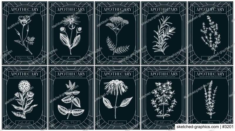 Apothecary labels set. Healing plants and medicinal herbs sketches on chalkboard. Art nouveua, adt deco, retro style. Vintage frame design templates. NOT AI generated