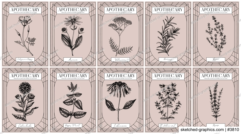 Apothecary labels set. Healing plants and medicinal herbs sketches. Art nouveua, adt deco, retro style. Vintage frame design templates. NOT AI generated