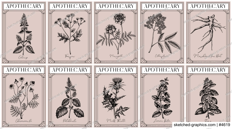 Apothecary labels set. Healing plants and medicinal herbs sketches. Art nouveua, adt deco, retro style. Vintage frame design templates. NOT AI generated