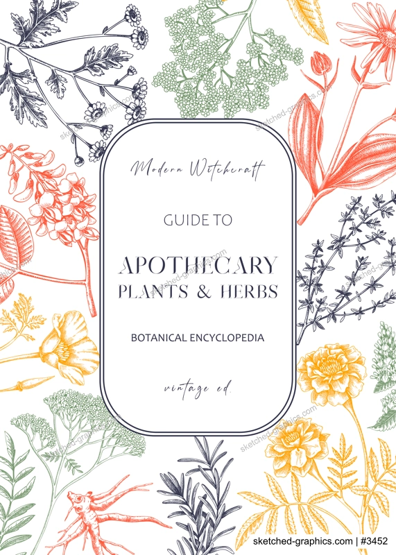 Apothecary plant frame design. Witchcraft background. Herbal remedies, medicinal plant, witch herbs, natural medicine hand-drawn vector illustration. Vinatge card template in color. NOT AI genereted