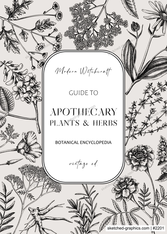Apothecary plant frame design. Witchcraft background. Herbal remedies, medicinal plant, witch herbs, natural medicine hand-drawn vector illustration. Vinatge card template. NOT AI genereted