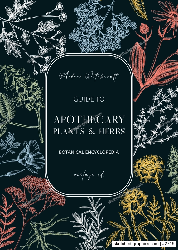 Apothecary plant frame design. Witchcraft background. Herbal remedies, medicinal plant, witch herbs, natural medicine hand-drawn vector illustration. Vinatge card template. NOT AI genereted