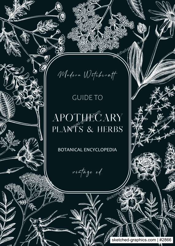 Apothecary plant frame design. Witchcraft background. Herbal remedies, medicinal plant, witch herbs, natural medicine hand-drawn vector illustration on chalkboard NOT AI genereted