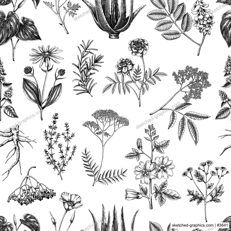 Apothecary plant background. Medicinal herbs seamless pattern. Herbal remedies, natural medicine, Healing plants sketches. Hand-drawn vector illustration.NOT AI genereted