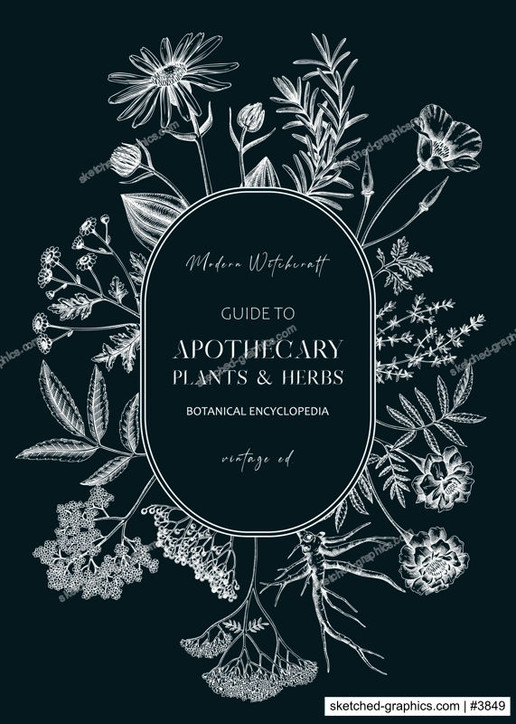 Apothecary plant wreath design. Witchcraft background. Herbal remedies, medicinal plant, witch herbs, natural medicine hand-drawn vector illustration on chalkboard. NOT AI genereted