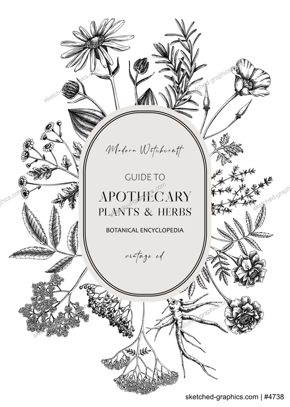 Apothecary plant wreath design. Witchcraft background. Herbal remedies, medicinal plant, witch herbs, natural medicine hand-drawn vector illustration. NOT AI genereted