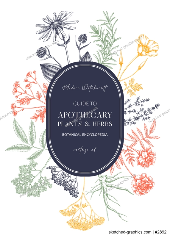 Apothecary plant wreath design. Witchcraft background. Herbal remedies, medicinal plant, witch herbs, natural medicine hand-drawn vector illustration in color. NOT AI genereted