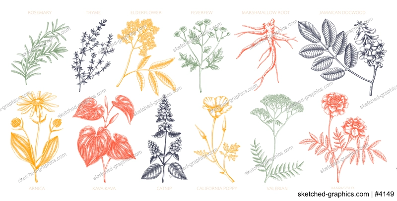 Apothecary plants collection. Medicinal herbs and healing plants sketches in color. Herbal remedies,natural medicine hand-drawn vector illustration. NOT AI genereted