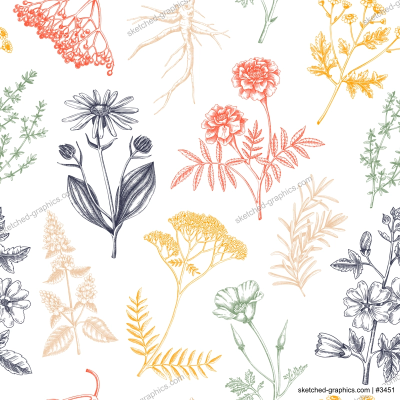 Apothecary plant background. Medicinal herbs seamless pattern. Herbal remedies, natural medicine, Healing plants sketches. Hand-drawn vector illustration.NOT AI genereted