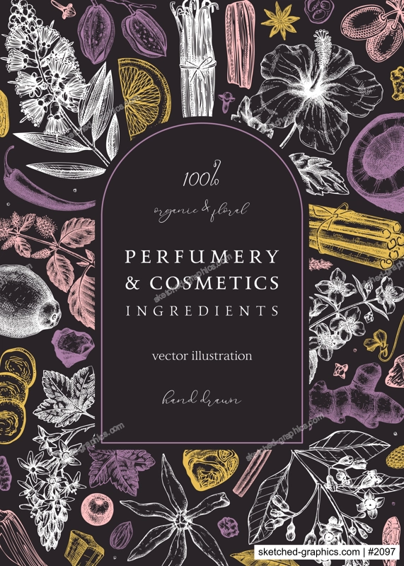 Aromatic plants card template. Perfumery ingredients frame. Flower, fruit, spice, herb sketches. Hand drawn vector illustration. Cosmetics packaging concept on chalkboard