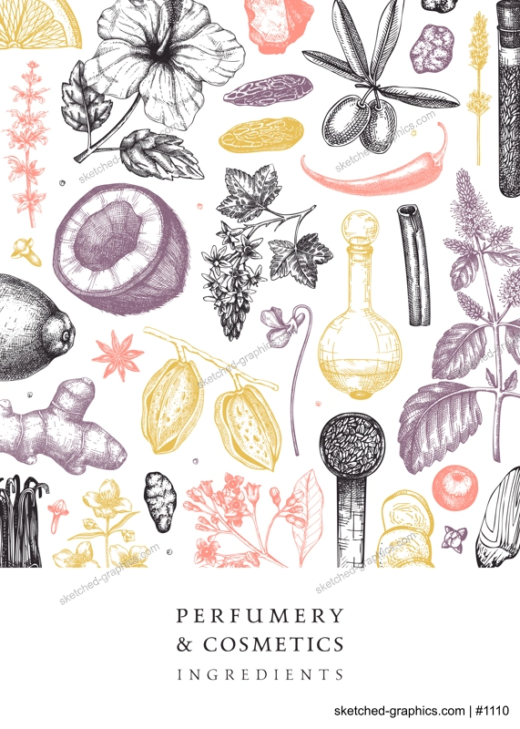 Aromatic plants flyer template. Perfumery ingredients banner. Flower, fruit, spice, herb sketches. Hand drawn vector illustration. Cosmetics packaging design