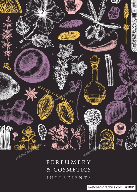 Aromatic plants flyer template. Perfumery ingredients banner. Flower, fruit, spice, herb sketches. Hand drawn vector illustration. Cosmetics packaging design