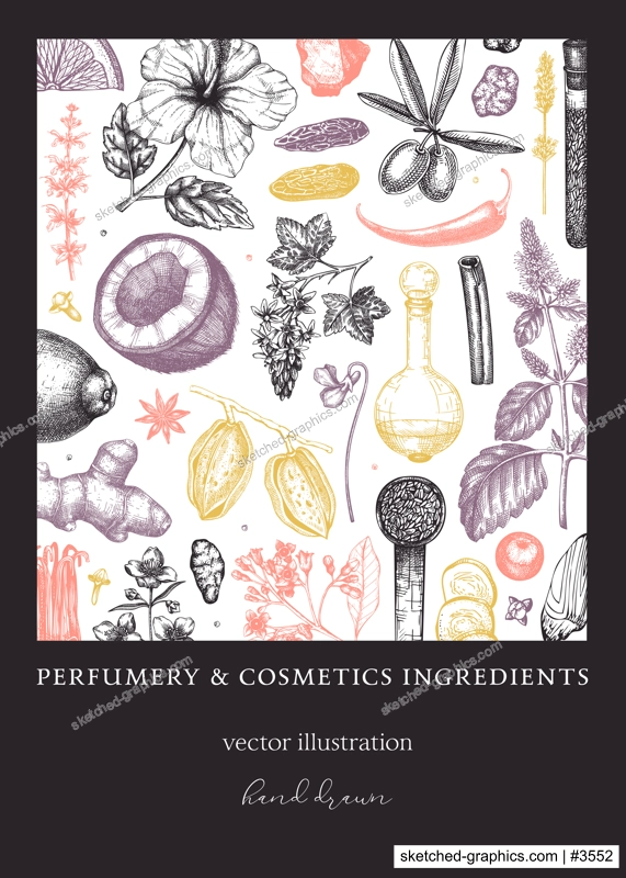 Aromatic plants flyer template. Perfumery ingredients banner. Flower, fruit, spice, herb sketches. Hand drawn vector illustration. Cosmetics packaging design