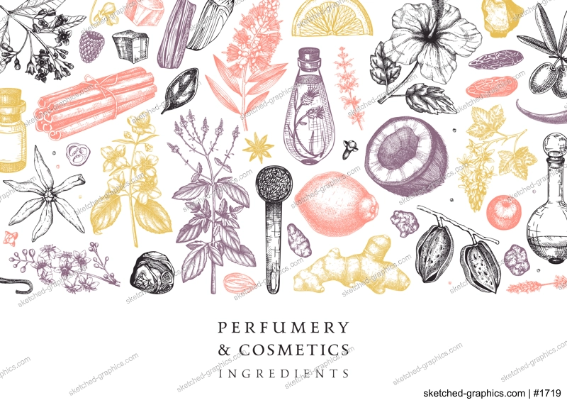 Aromatic plants background. Perfumery ingredients banner. Flower, fruit, spice, herb sketches. Hand drawn vector illustration. Cosmetics packaging design template.