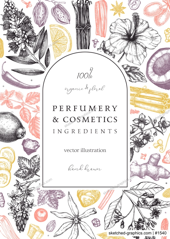Aromatic plants card template. Perfumery ingredients frame. Flower, fruit, spice, herb sketches. Hand drawn vector illustration. Cosmetics packaging concept