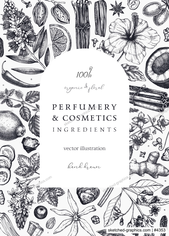 Aromatic plants card template. Perfumery ingredients frame. Flower, fruit, spice, herb sketches. Hand drawn vector illustration. Cosmetics packaging concept