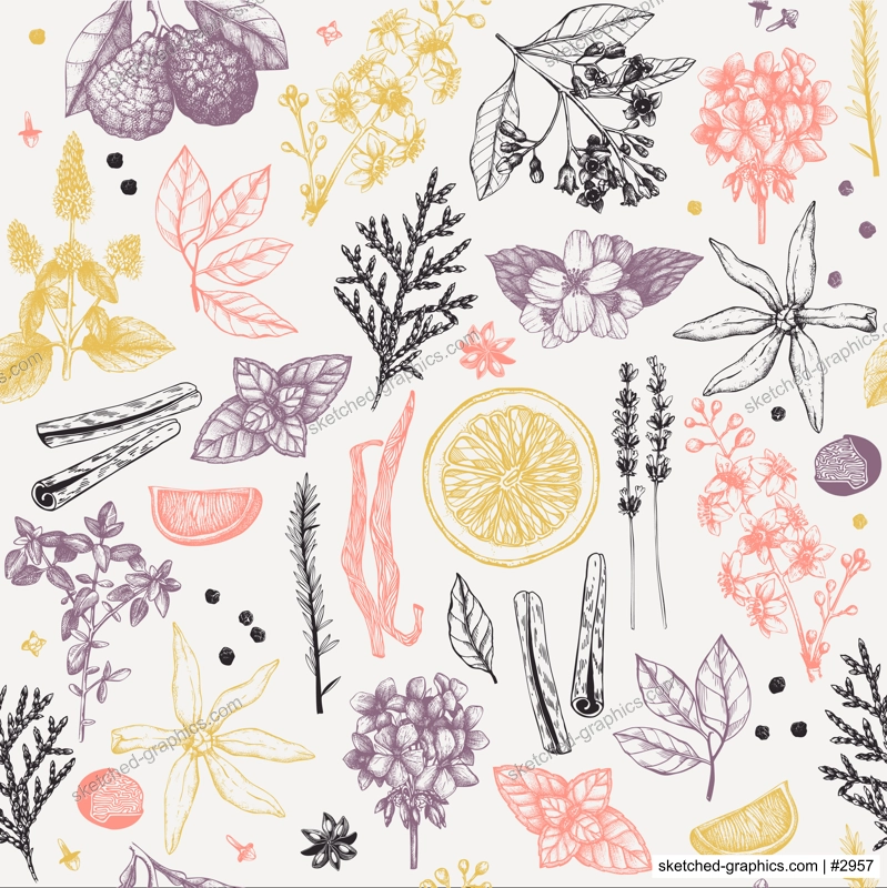Aromatic plants background. Perfumery and cosmetics ingredient sketch. Herbs seamless pattern. Hand-drawn floral illustration. NOT AI generated