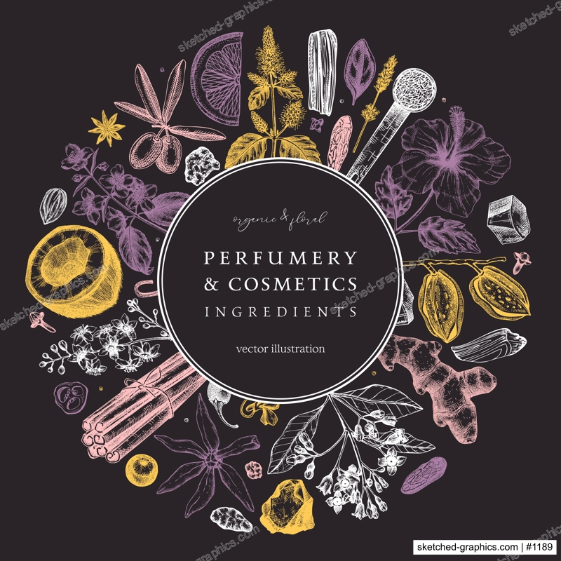 Aromatic plants wreath. Perfumery and cosmetics ingredients banner. Flower, fruit, spice, herb sketches. Hand drawn vector illustration. Packaging design template. 