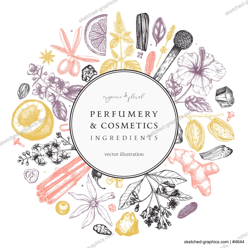Aromatic plants wreath. Perfumery and cosmetics ingredients banner. Flower, fruit, spice, herb sketches. Hand drawn vector illustration. Packaging design template. 