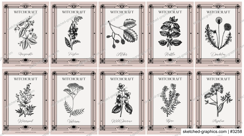 Art deco apothecary labels set. Witchcraft, healing herbs, mystical plants sketches. Vintage frame design templates. NOT AI generated