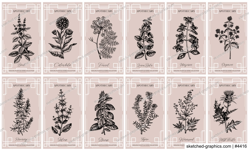 Art deco apothecary labels set. Healing plants, medicinal herbs sketches. Vintage frame design templates. NOT AI generated