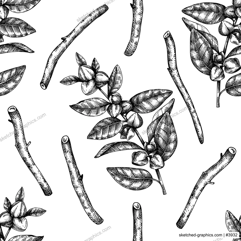 Ashwagandha background. Medicinal plant hand sketched illustration. Adaptogenic herbs backdrop. Botanical sketch for traditional medicine, Ayurveda and cosmetics seamless pattern