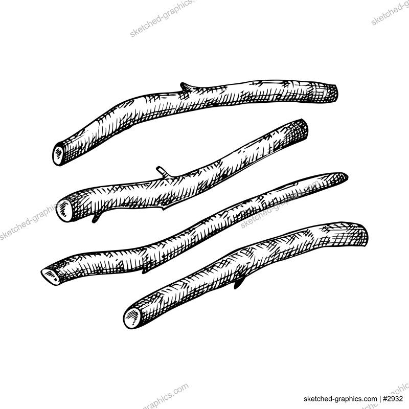 Ashwagandha riits. Adaptogenic plant illustration. Medical herbs Isolated on white background. Botanical vector illustration. Natural adaptogen sketch. Vintage engraving style. 