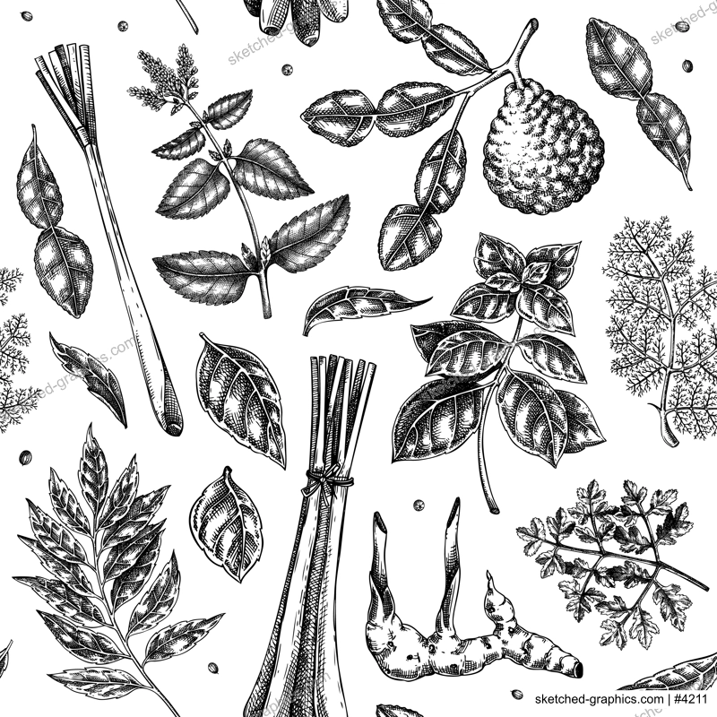 Asian cuisine background. Herb and spice seamless pattern. Basil, curry, calangal, cilantro, lime dsketches. Kitchen spices hand-drawn vector illustration. NOT AI generated