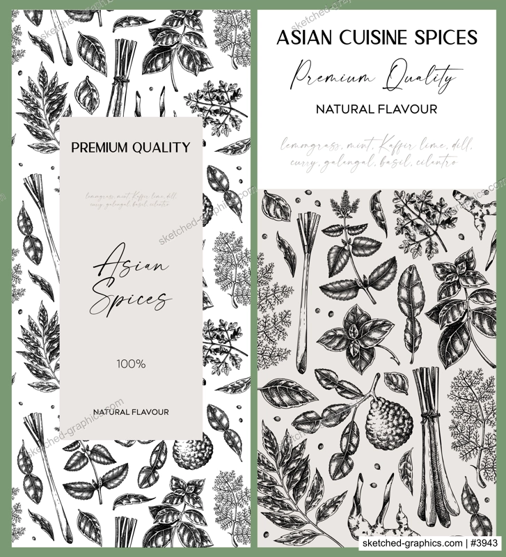 Asian spice label design. Basil, curry, calangal, cilantro, lime sketches. Herbs hand-drawn vector illustration. Vintage spice banner template. . NOT AI generated