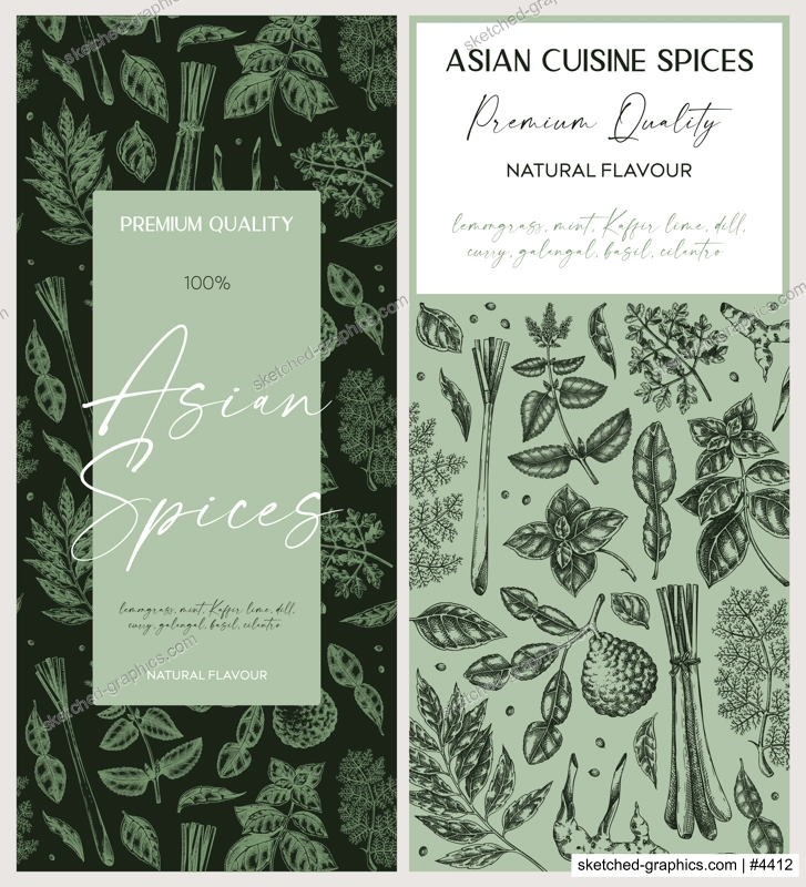 Asian spice label design. Basil, curry, calangal, cilantro, lime sketches. Herbs hand-drawn vector illustration. Vintage spice banner template. . NOT AI generated