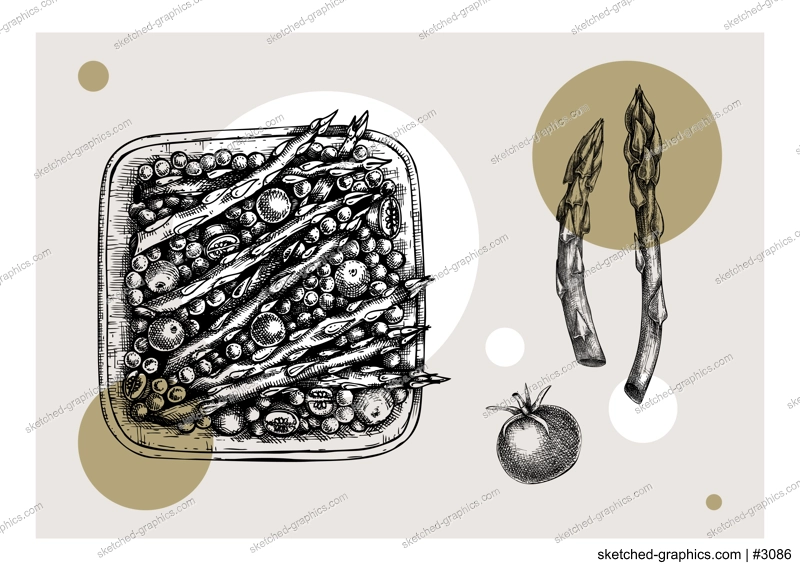 Cooked asparagus with pea and tomatoes drawing. Autumn food vector sketch. Thanksgiving day dinner menu element. Traditional autumn vegetables outline. Asparagus in collage style
