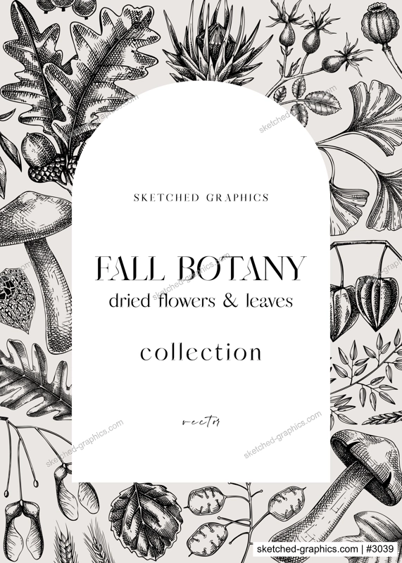 Autumn arc design with fall leaves and dried flowers. Thanksgiving background. Fall card or invitation. Sketched dried flowers, falling leaves, mushrooms, seeds frame. Vintage botanical illustration