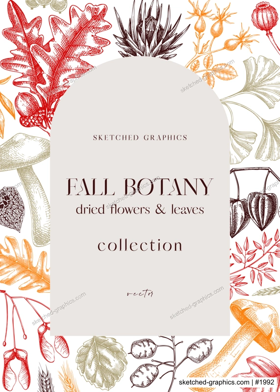 Autumn arc design with fall leaves and dried flowers. Thanksgiving background. Fall card or invitation. Sketched dried herbs, falling leaves, mushrooms, seeds frame. Botanical illustration in color