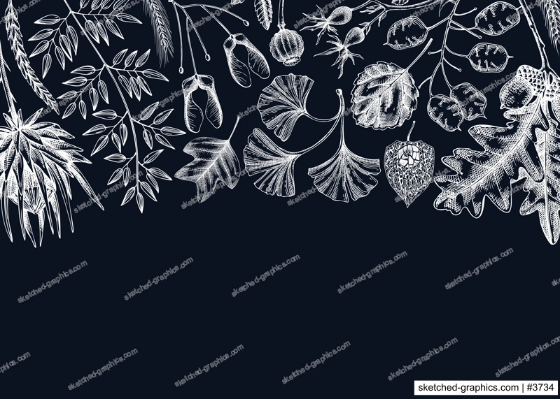Autumn background. Fallen leaves and dried flowers banner. Botanical border template. Hand-drawn dried herbs, fall leaves, mushrooms, and fruit illustration. Thanksgiving background.