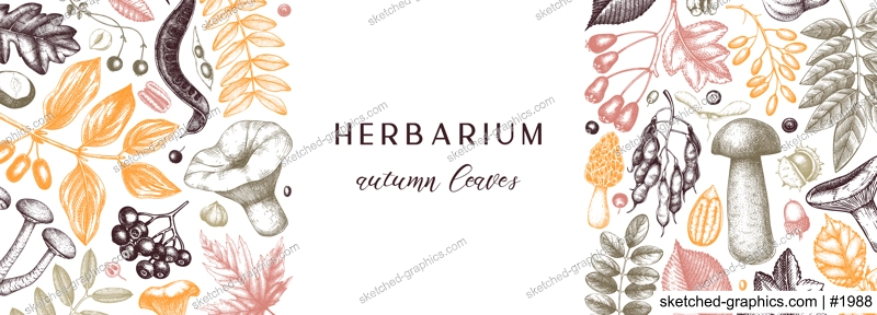 Hand sketched autumn banner in color. Elegant and trendy botanical template with autumn leaves, pumpkins, berries, mushrooms, nuts drawings. Vintage plants template. Autumn food background.