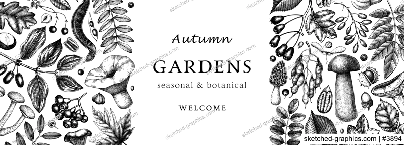 Hand sketched autumn banner design. Elegant and trendy botanical template with autumn leaves, pumpkins, berries, mushrooms, nuts drawings. Vintage plants template. Autumn food background.
