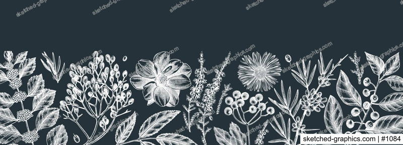 Hand sketched autumn banner on chalkboard. Fall leaves background and botanical sketch art. Vintage cover design with autumn leaves, berries, flowers, birds. Floral art for wall decoration and print