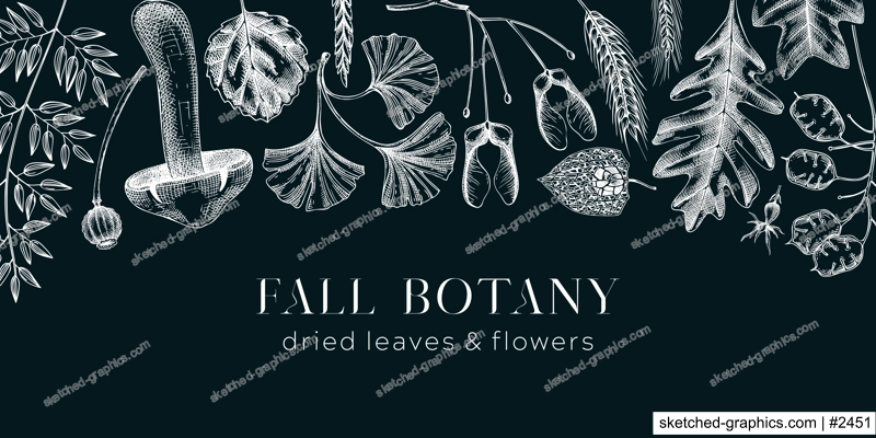 Autumn banner with fallen leaves and dried flowers. Sketched botanical border template on chalkboard. Dried herbs, fall leaves, mushrooms, and fruit illustration. Thanksgiving background.