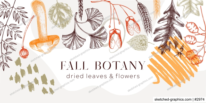 Autumn banner with fallen leaves and dried flowers. Collage style Thanksgiving background. Hand drawn botanical border template. Sketched dried herbs, fall leaves, mushrooms, and fruit illustration. 