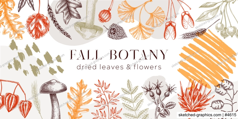 Autumn banner with fallen leaves and dried flowers. Thanksgiving background. Collage style fall background. Sketched dried herbs, falling leaves, mushrooms, seeds illustration. 