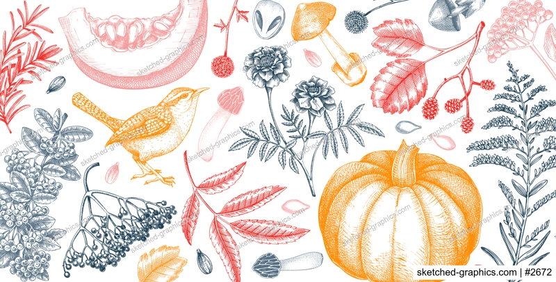 Warm autumn banner in sketch style. Fall leaves, pumpkins, berries, mushrooms hand-drawn vector illustrations. Vintage botanical banner design. NOT AI generated