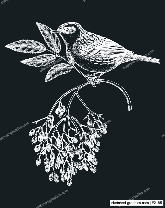 Hand-sketched bird with autumn flowers illustration on chalkboard. Fall design with birds, florals, geometric shapes, and abstract elements. Can be used for print, poster, wall art, social media