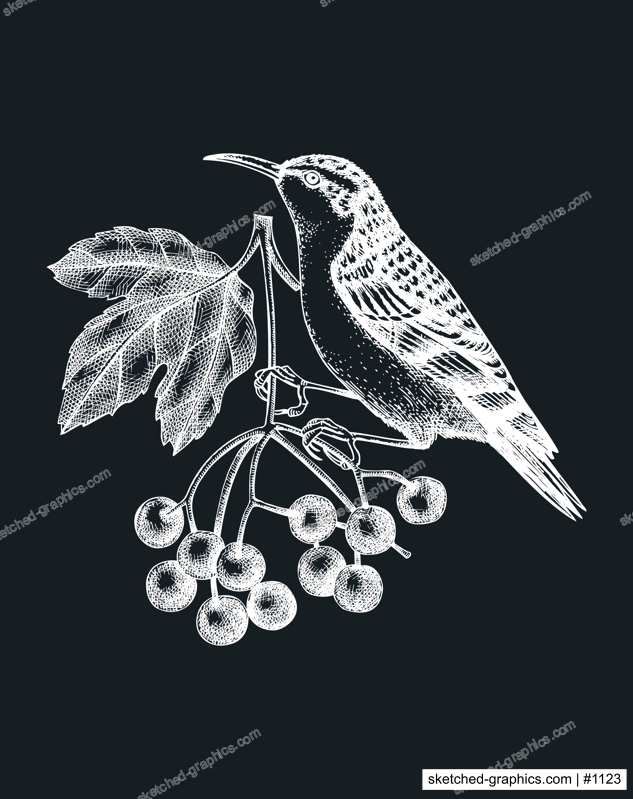 Hand-sketched bird with autumn flowers illustration on chalkboard. Fall design with birds, florals, geometric shapes, and abstract elements. Can be used for print, poster, wall art, social media