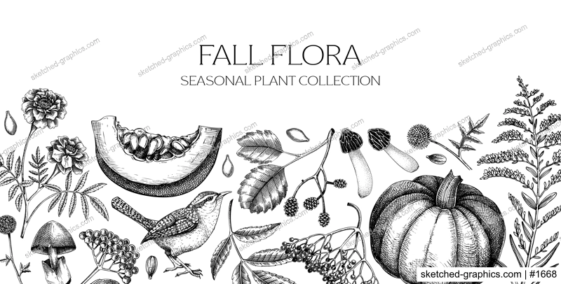 Hand-drawn autumn background. Fall leaves, pumpkins, berries, mushrooms sketches. Vintage botanical banner design. Vector illustration NOT AI generated