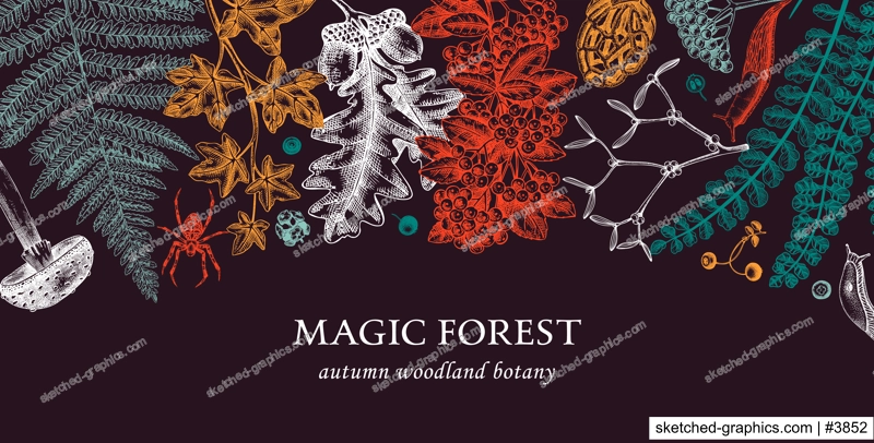 Colorful banner with ferns, mushrooms, fall leaves and autumn plant sketches. Vintage botanical design template in engraved style. Hand drawn autumn forest background for print. Natural banner 