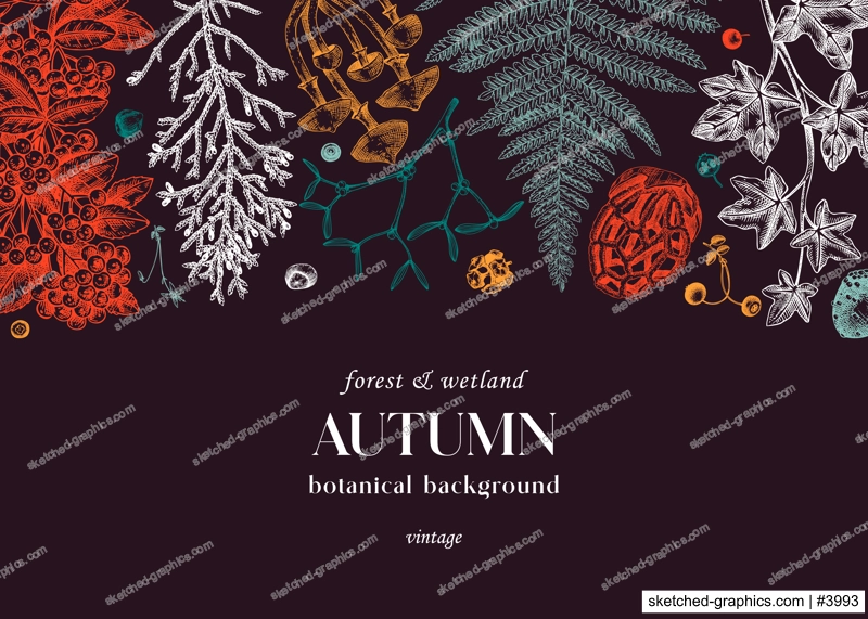 Hand drawn autumn background in color. Vintage banner with ferns, forest mushrooms, fall leaves and autumn plant sketch. Botanical design template in engraved style. Vector woodland illustration