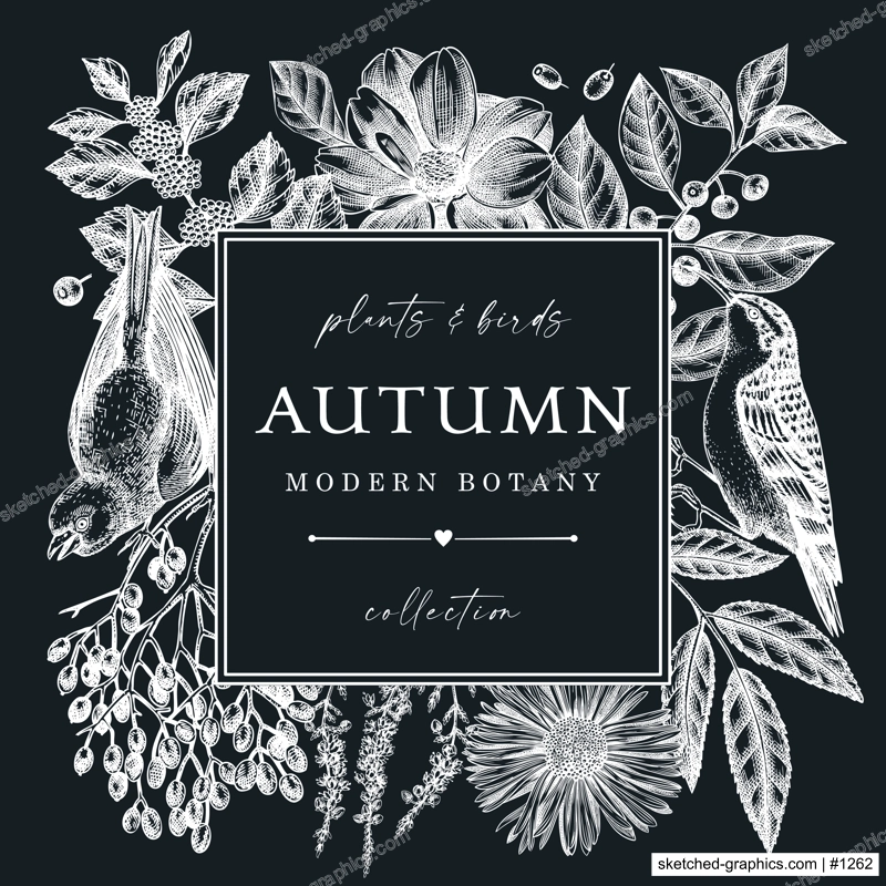Hand sketched autumn design with birds. Elegant botanical square template with autumn leaves, berries, flowers and birds sketches on chalkboard. Perfect for invitation, cards, flyers, menu, labels.
