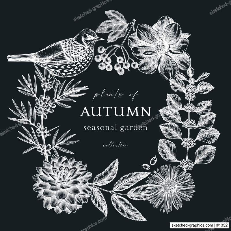 Hand sketched autumn design with birds. Elegant botanical square template with autumn leaves, berries, flowers and birds sketches on chalkboard. Perfect for invitation, cards, flyers, menu, labels.