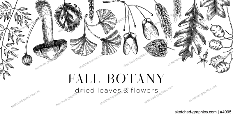 Autumn banner with fallen leaves and dried flowers. Sketched botanical border template. Hand-drawn dried herbs, fall leaves, mushrooms, and fruit illustration. Black and white Thanksgiving background.