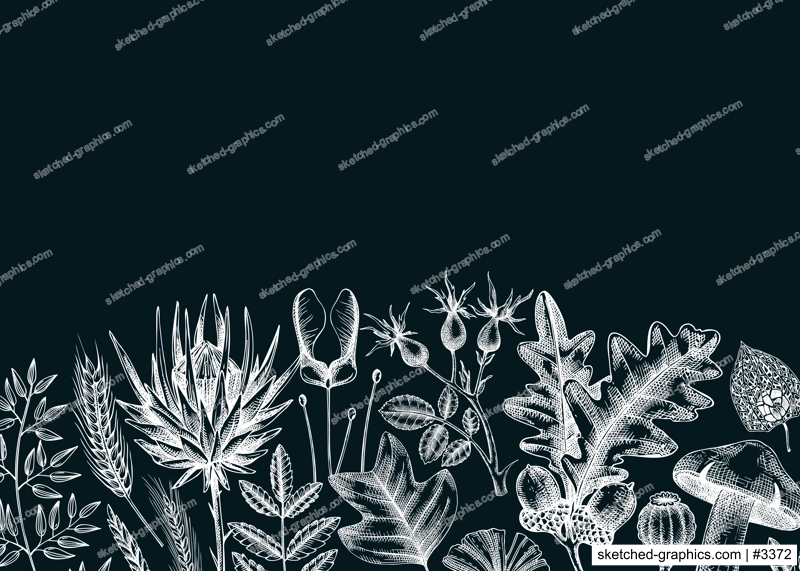 Autumn banner with fallen leaves and dried flowers. Botanical border template on chalkboard. Hand-drawn dried herbs, fall leaves, mushrooms, and fruit illustration. Thanksgiving background.